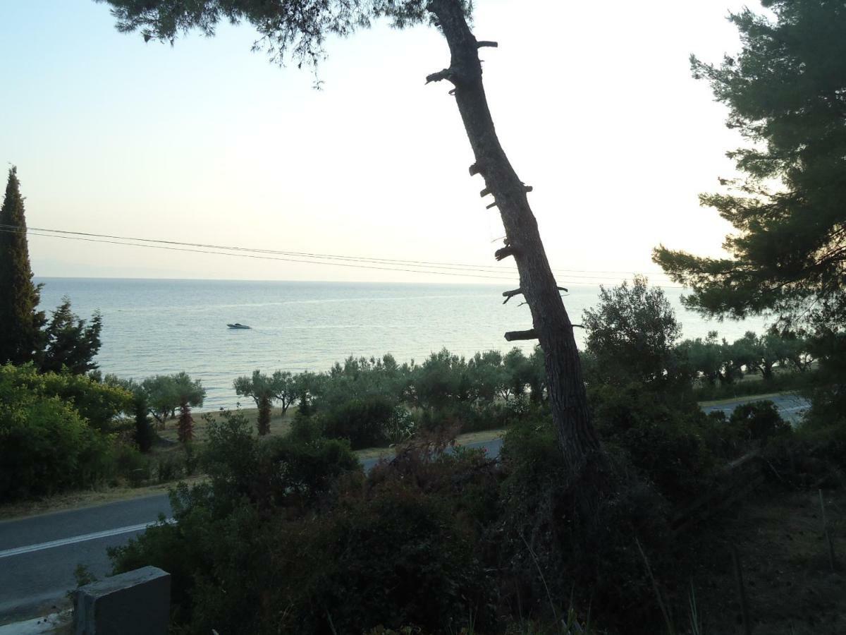 Aliki *