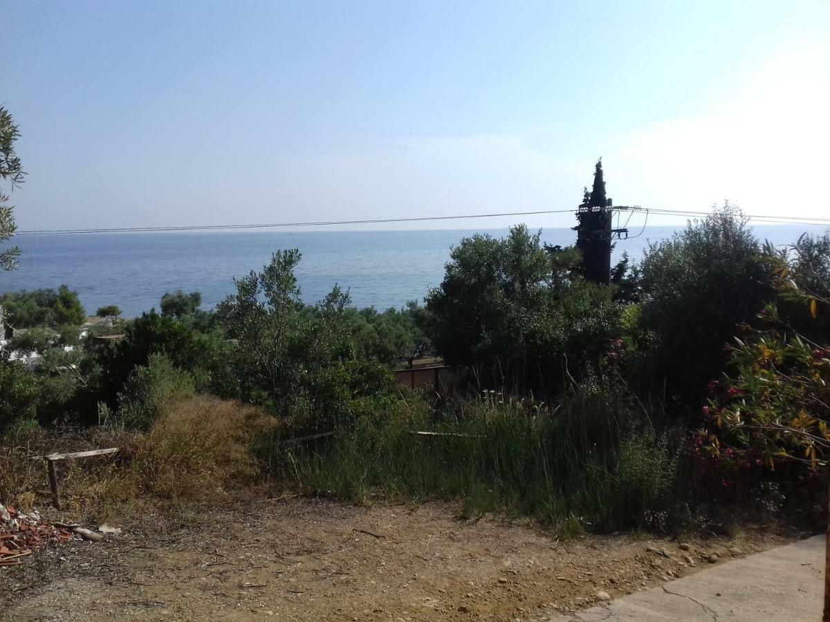Aliki * Nea Skioni