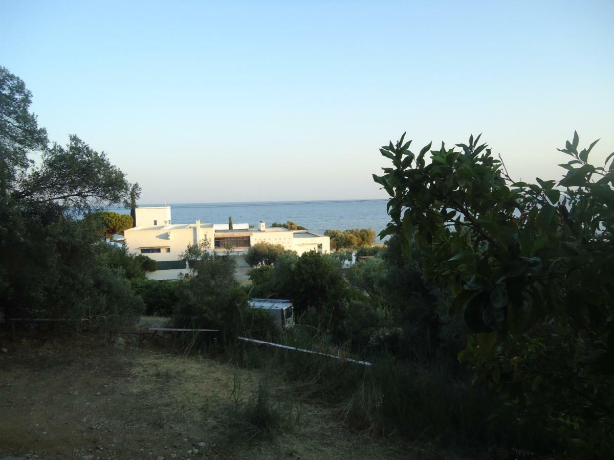 Aliki Villa Nea Skioni