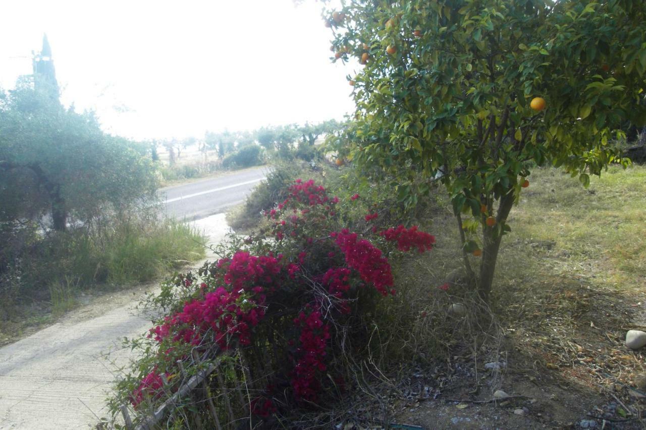 Villa Aliki Nea Skioni