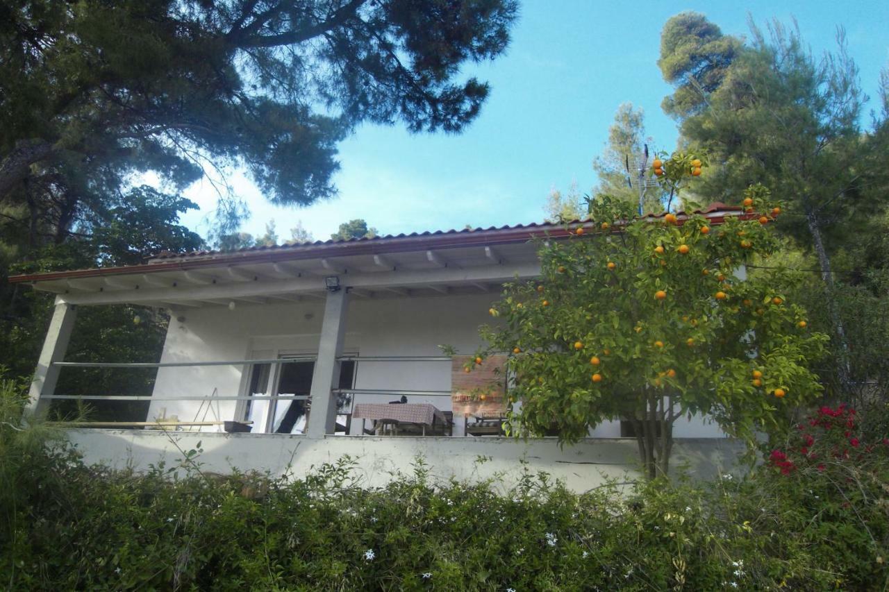 Villa Aliki *