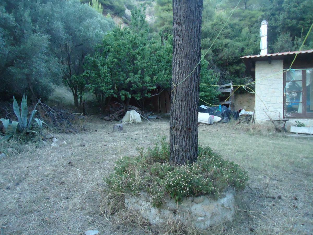 Villa Aliki *