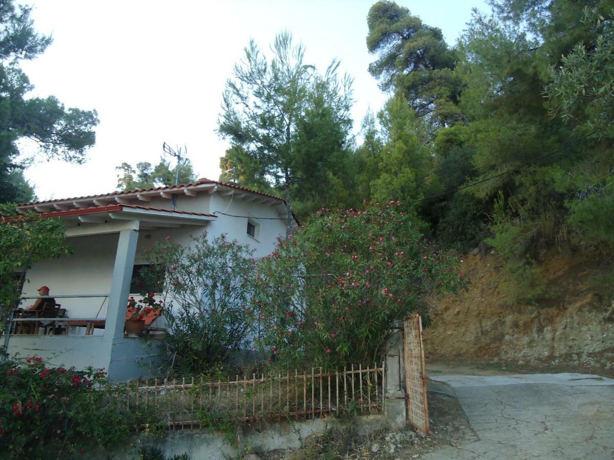 Aliki