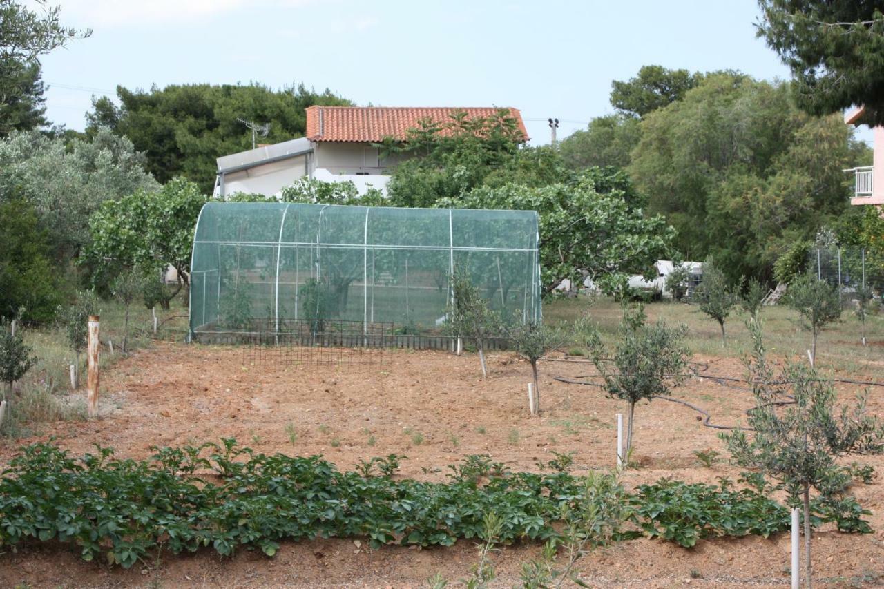 Thanos Guest house Artemida (Attica)
