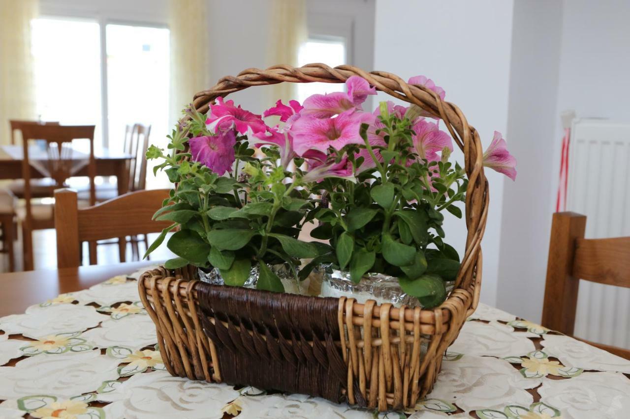 Apartment Despina