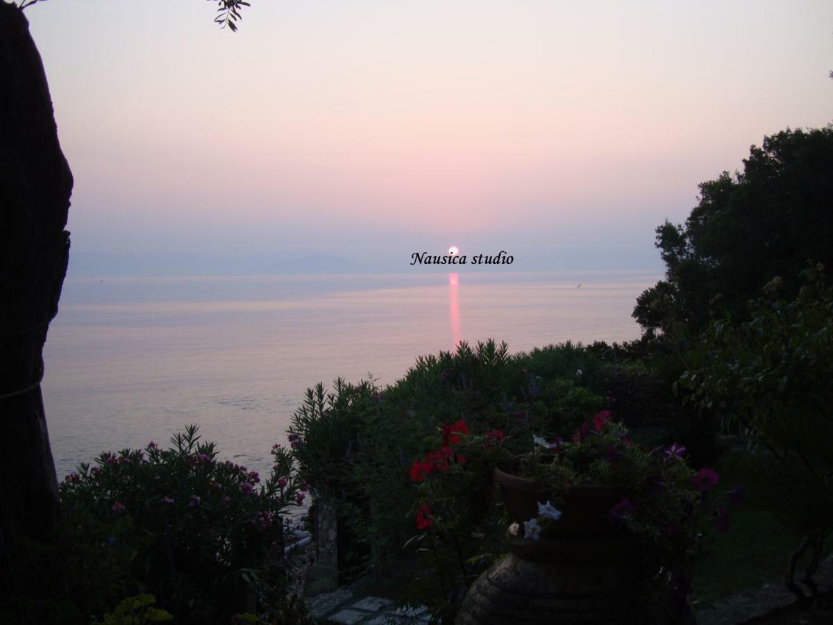 Nausica... A Sense Of Paradise! Country house Agia Pelagia Chlomou
