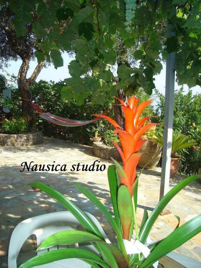 Nausica... A Sense Of Paradise! Agia Pelagia Chlomou