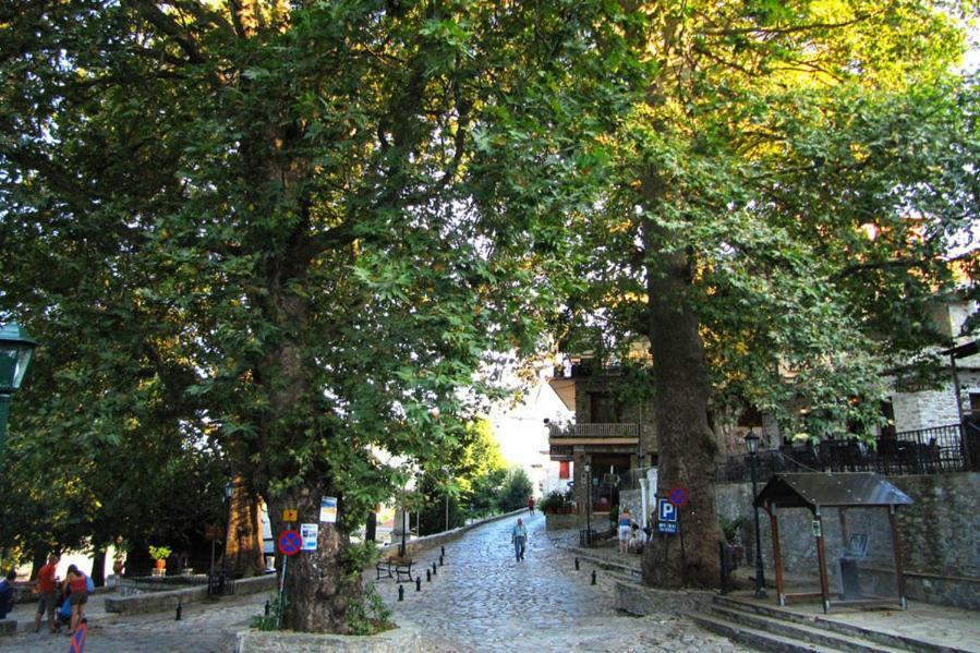 Country house Traditional Stone House In Pelion *