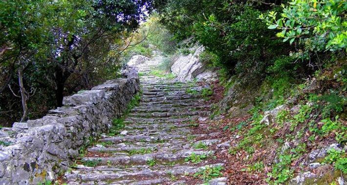 Country house Traditional Stone House In Pelion *