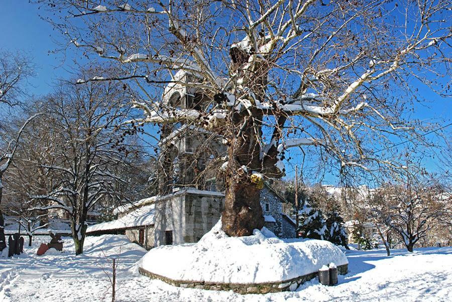Country house Traditional Stone House In Pelion Kissos (Thessaly)
