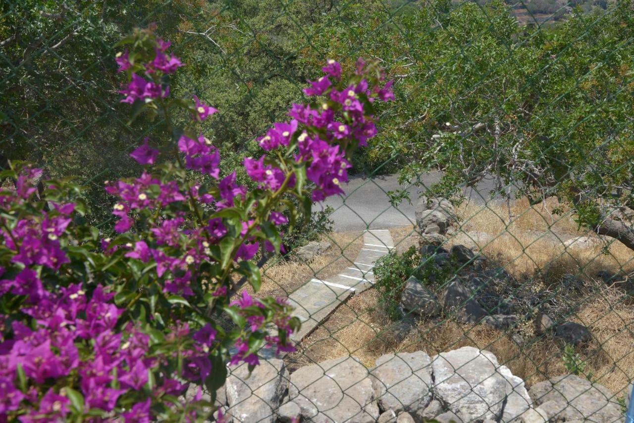 «astrofeggia» A Private Stone House Nature-seaview Mandraki (Nisyros)