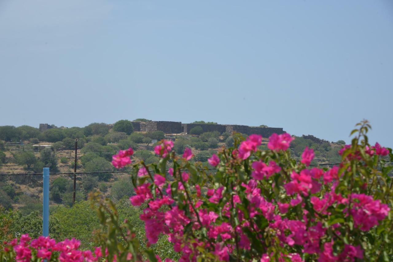 «astrofeggia» A Private Stone House Nature-seaview