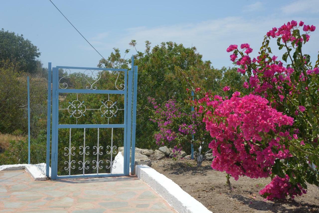 «astrofeggia» A Private Stone House Nature-seaview Mandraki (Nisyros)