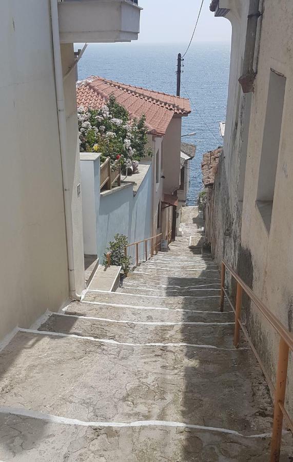 Aurora * Kavala