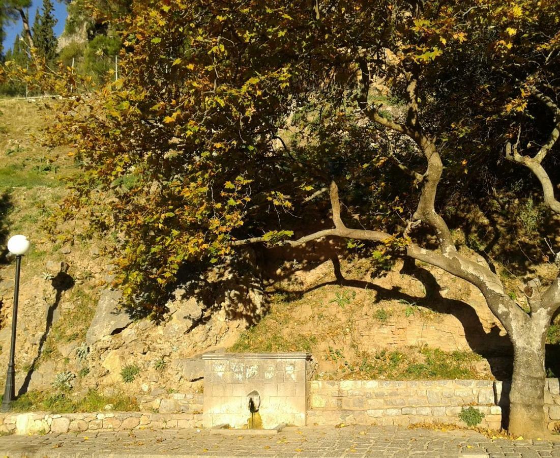 Apartment Niriides