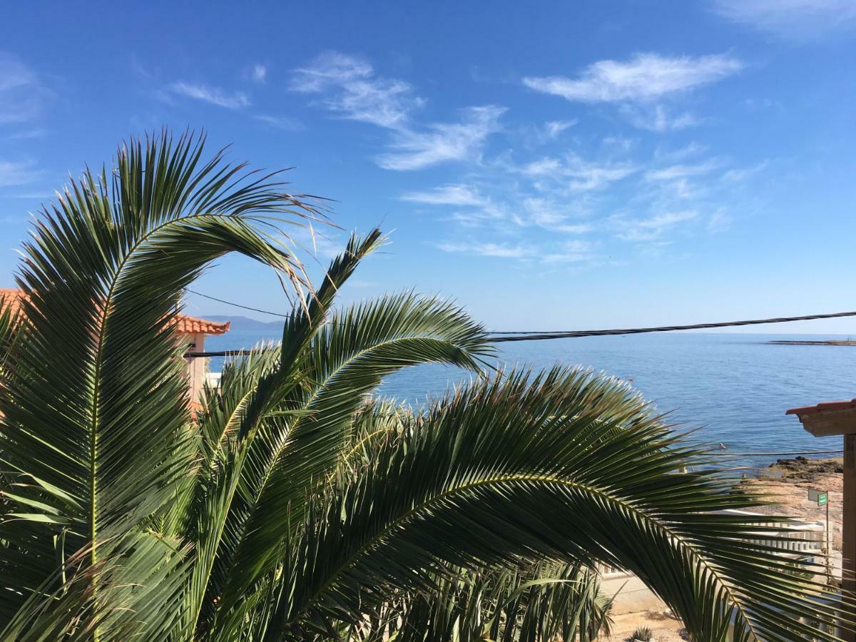 Savva's Surf House Holiday home