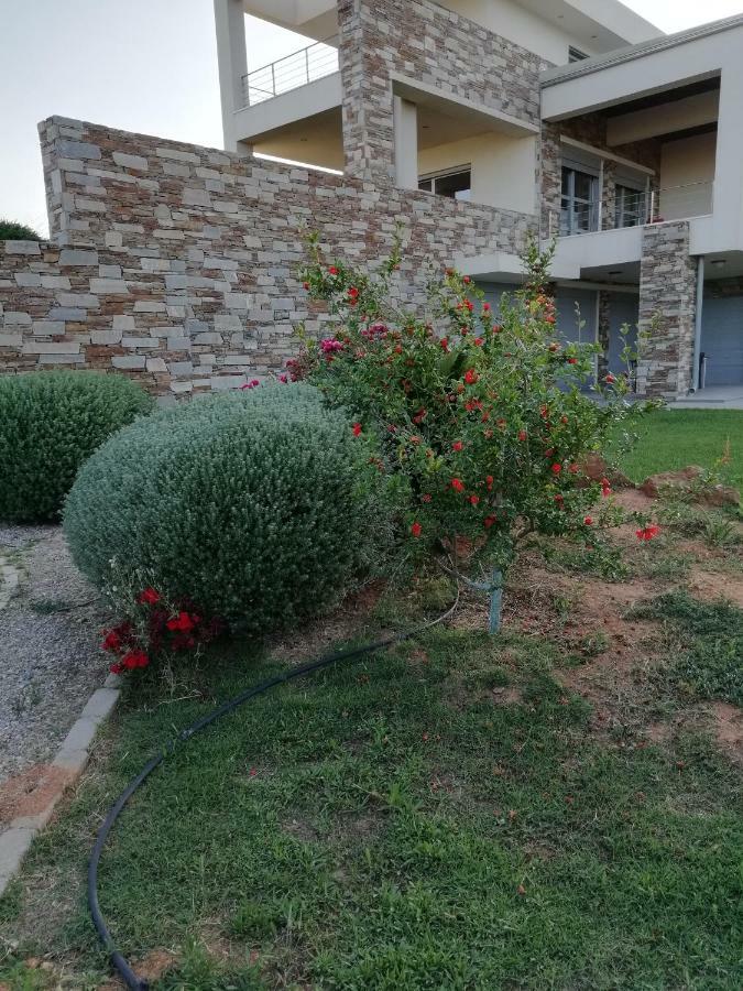 Guest house Dimitra *