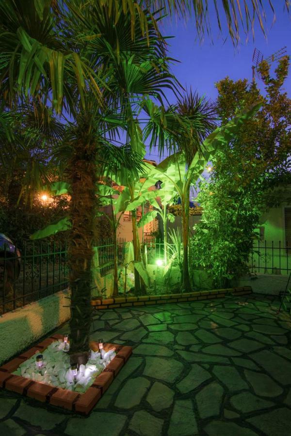 Apartment Shark Skala Potamia (Thasos)