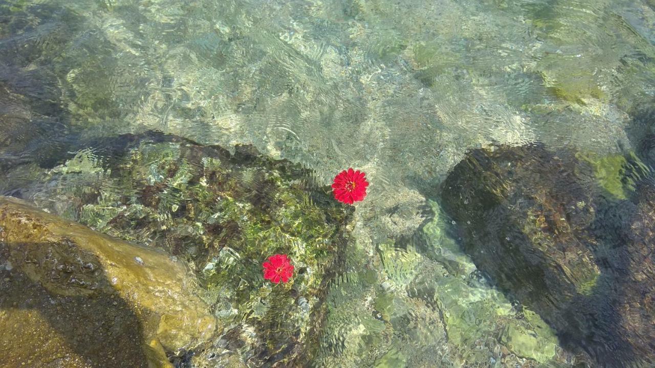 Linamare Eolos * Kiveri
