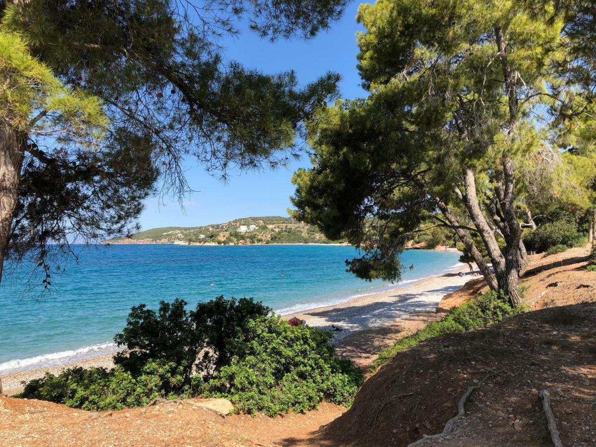 Marina Villa *