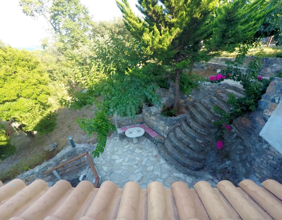 Frictories Station Of Residency * Limnionas (Central Greece)