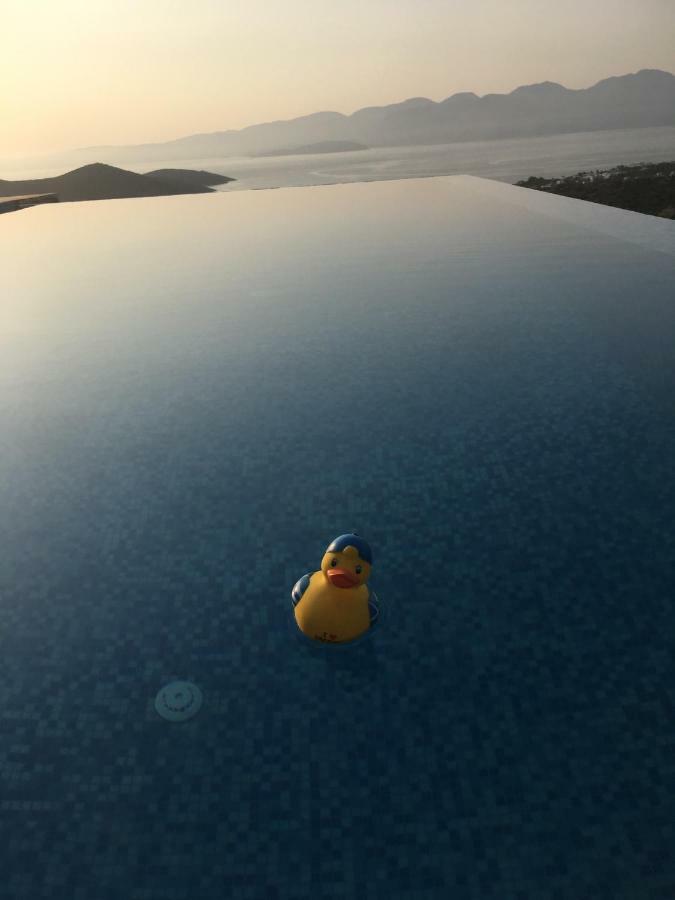 Estee, Luxury With Private Infinity Pool And Jacuzzi *