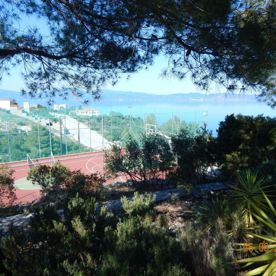 Holiday home With Swimming Pool And Tennis/basketball Court *