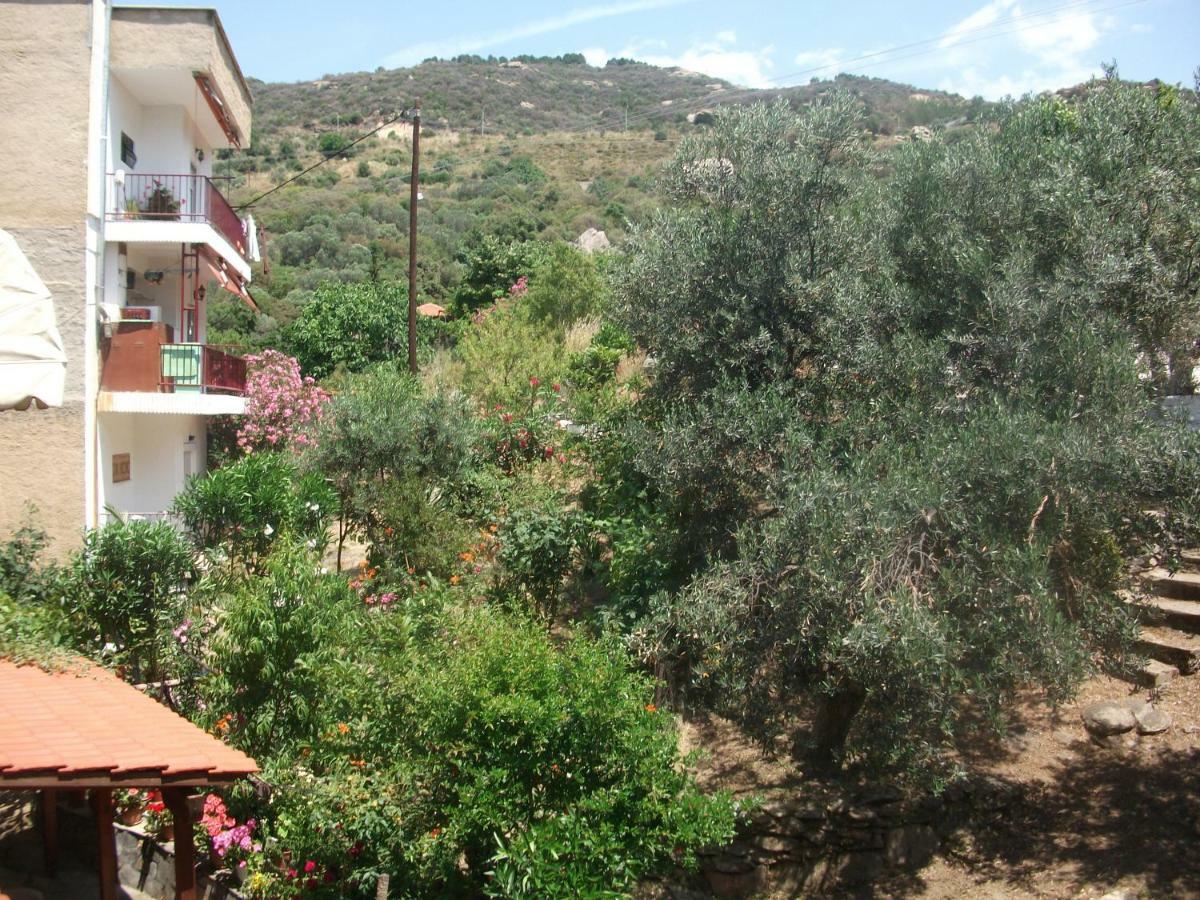 Apartment Konstantina's House Palaiontsiflikion