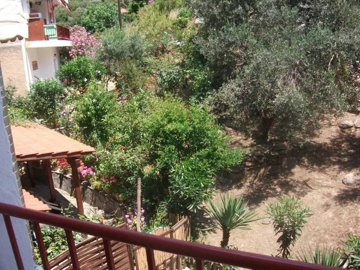 Konstantina's House Apartment Palaiontsiflikion