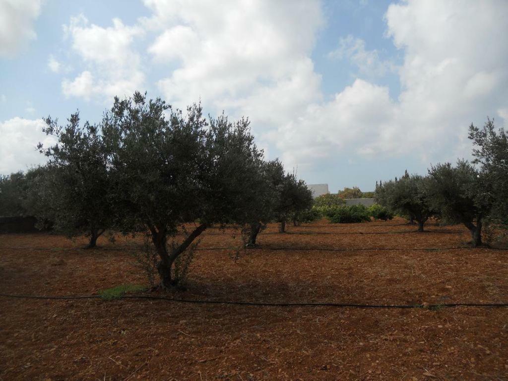Holiday home Kampos Paros Pounda