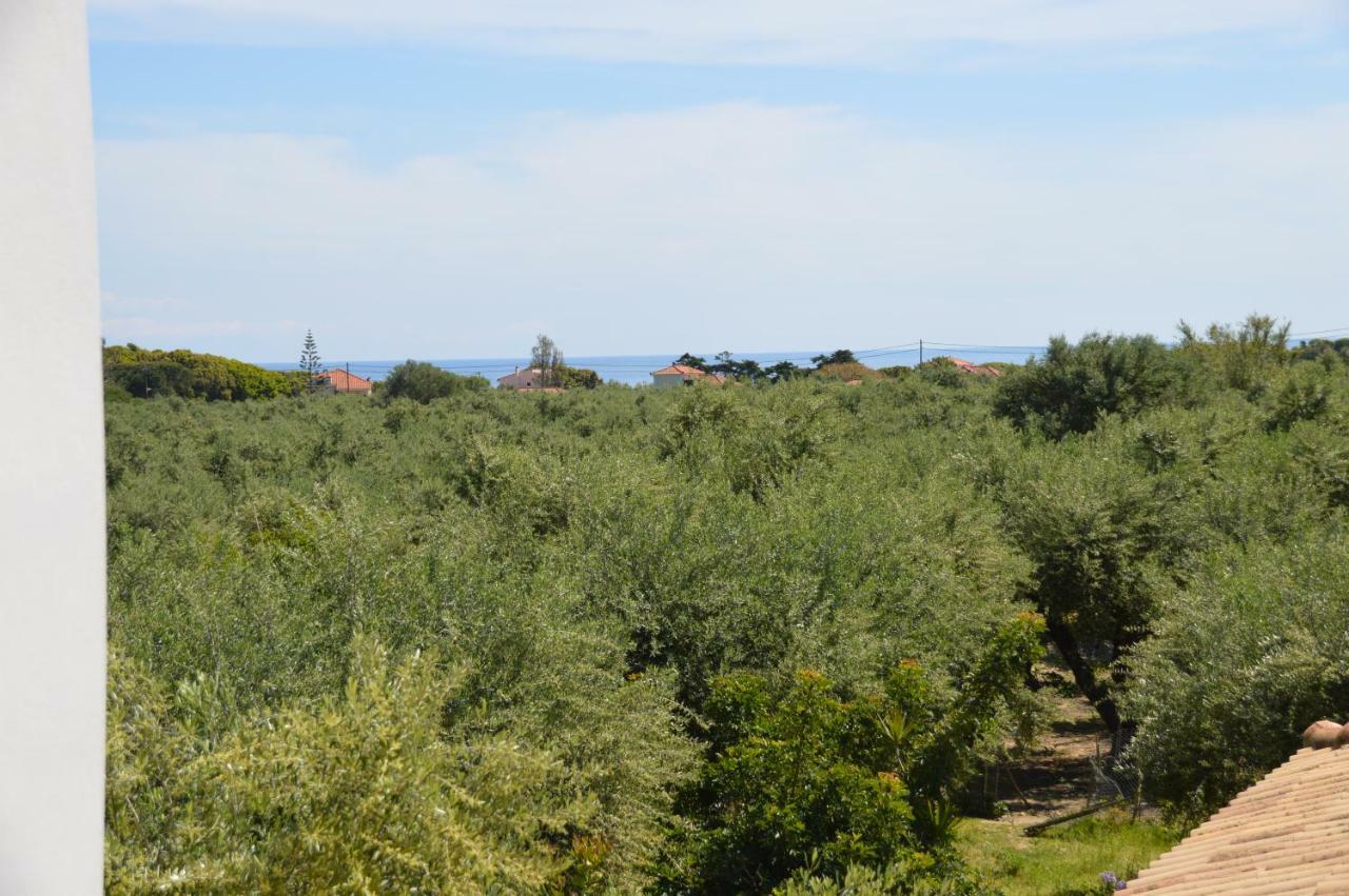 Anemona And Apartment