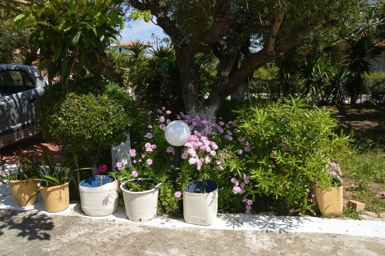 Anemona And Apartment *