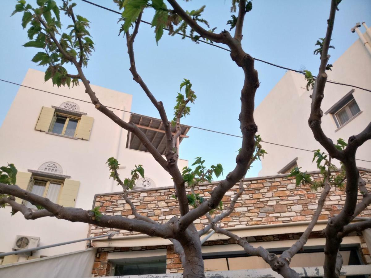 Apartment View House Tinos