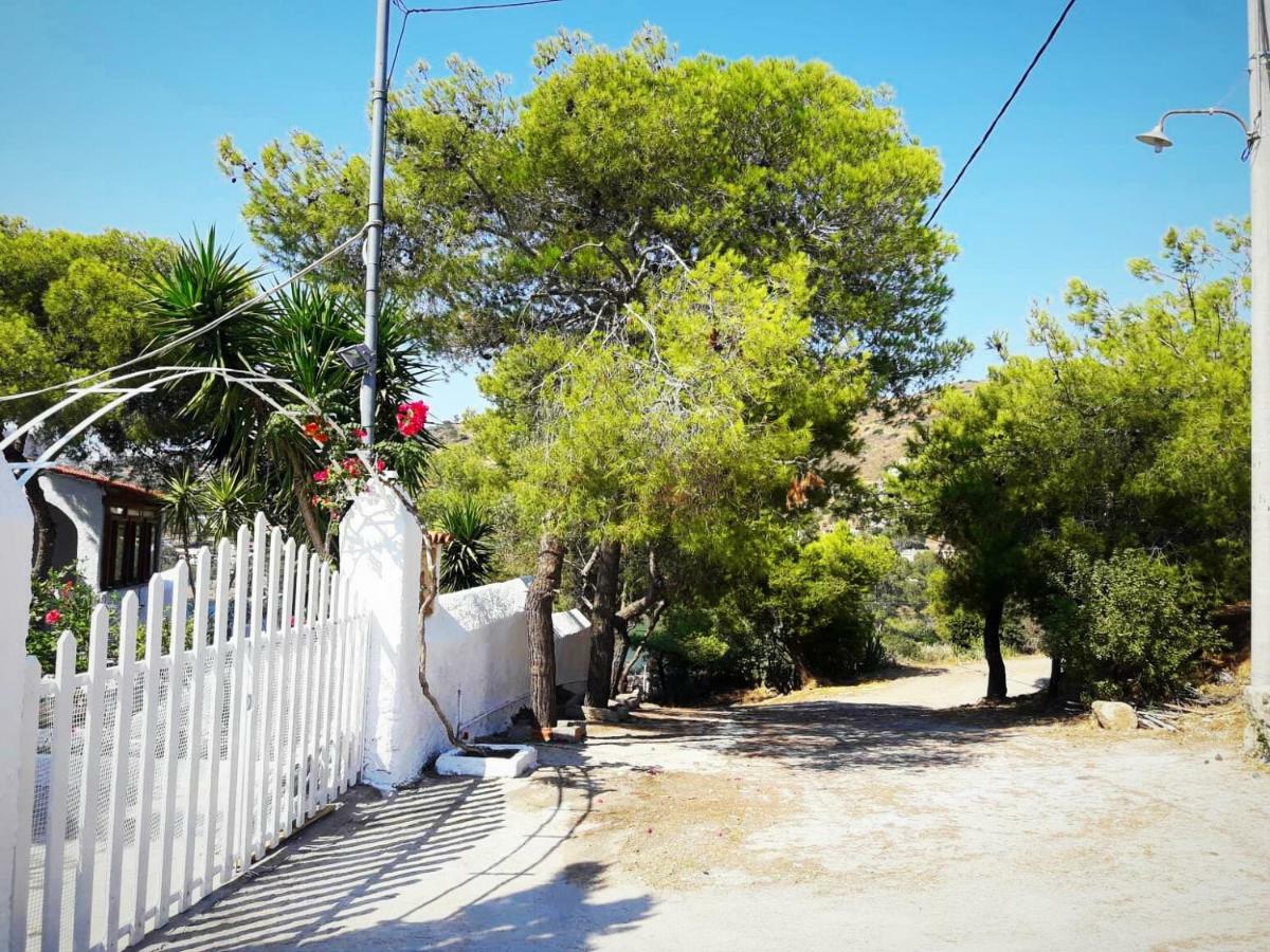 Apollonion Aigina * Perdika (Aegina)