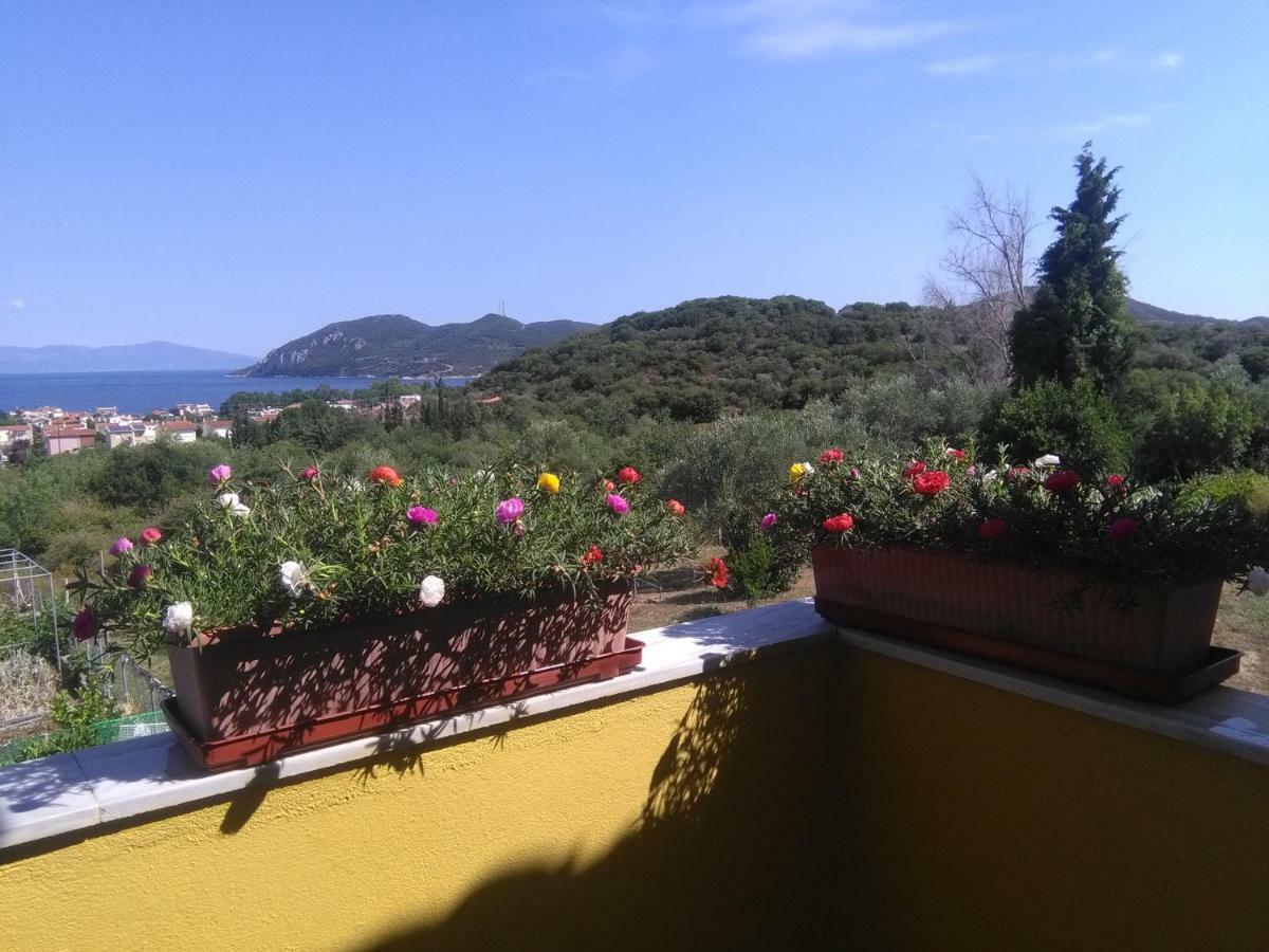 Martha's Holiday home *