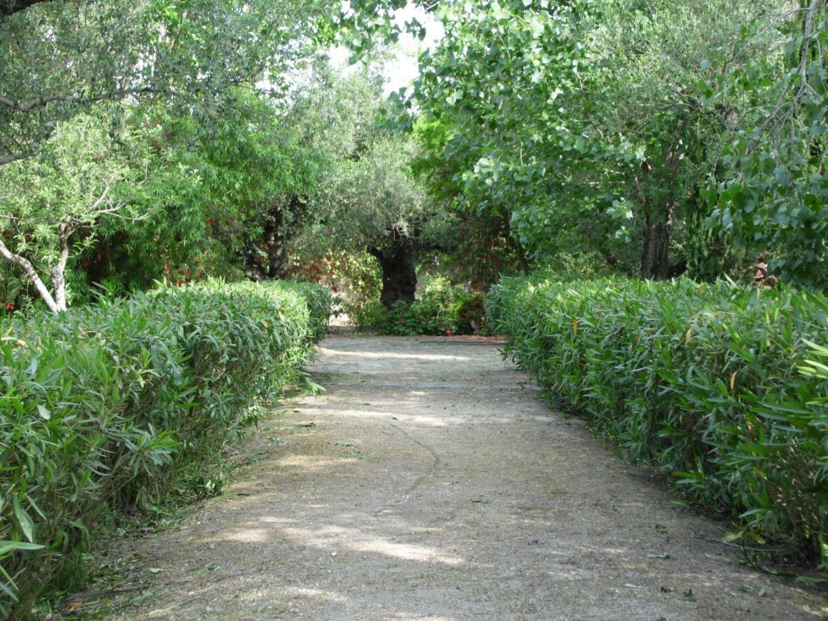 Theni Olive Grove * Kato Yerakarion