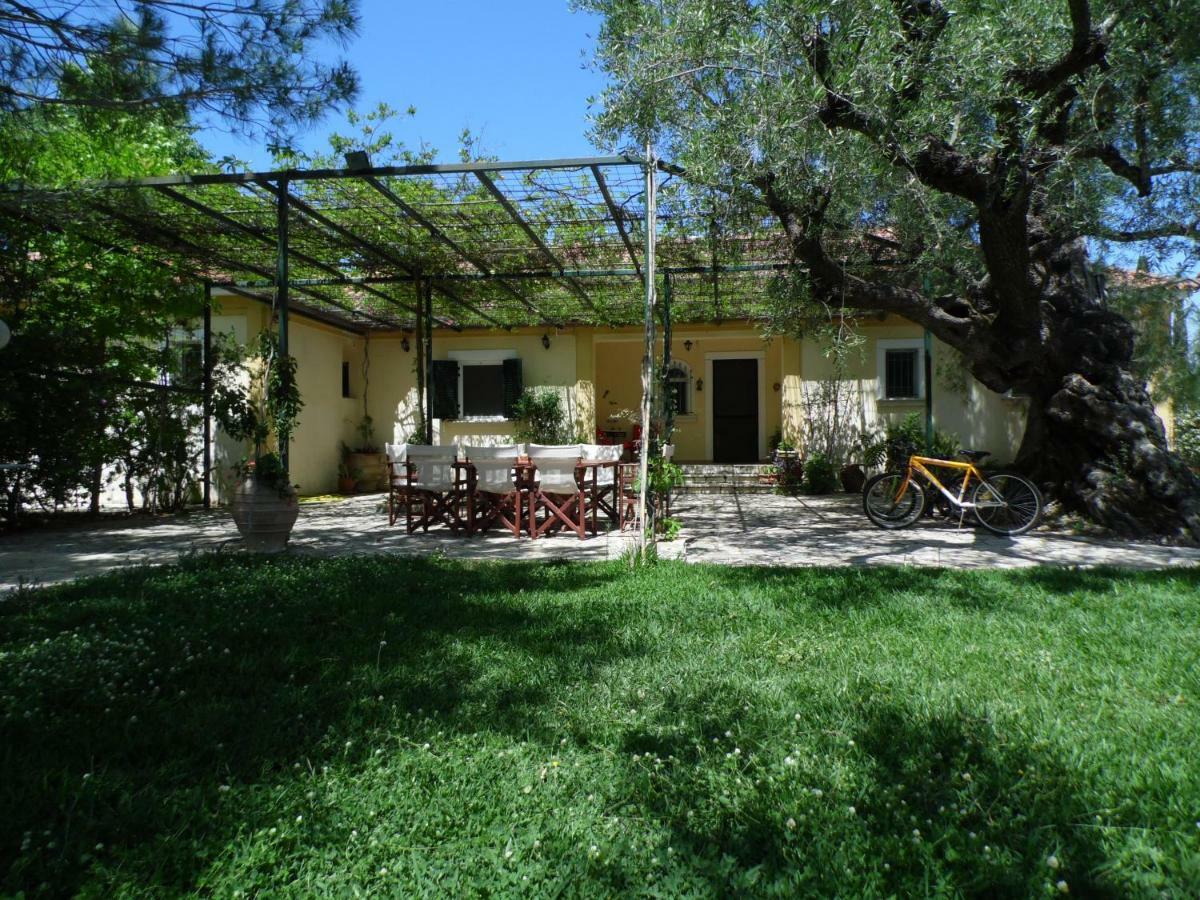Villa Theni Olive Grove *