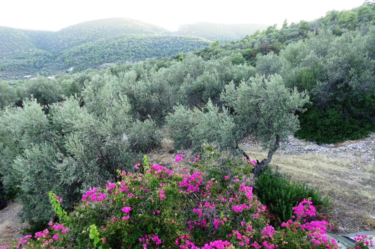 Maisonette Ilios Holiday home Korfos