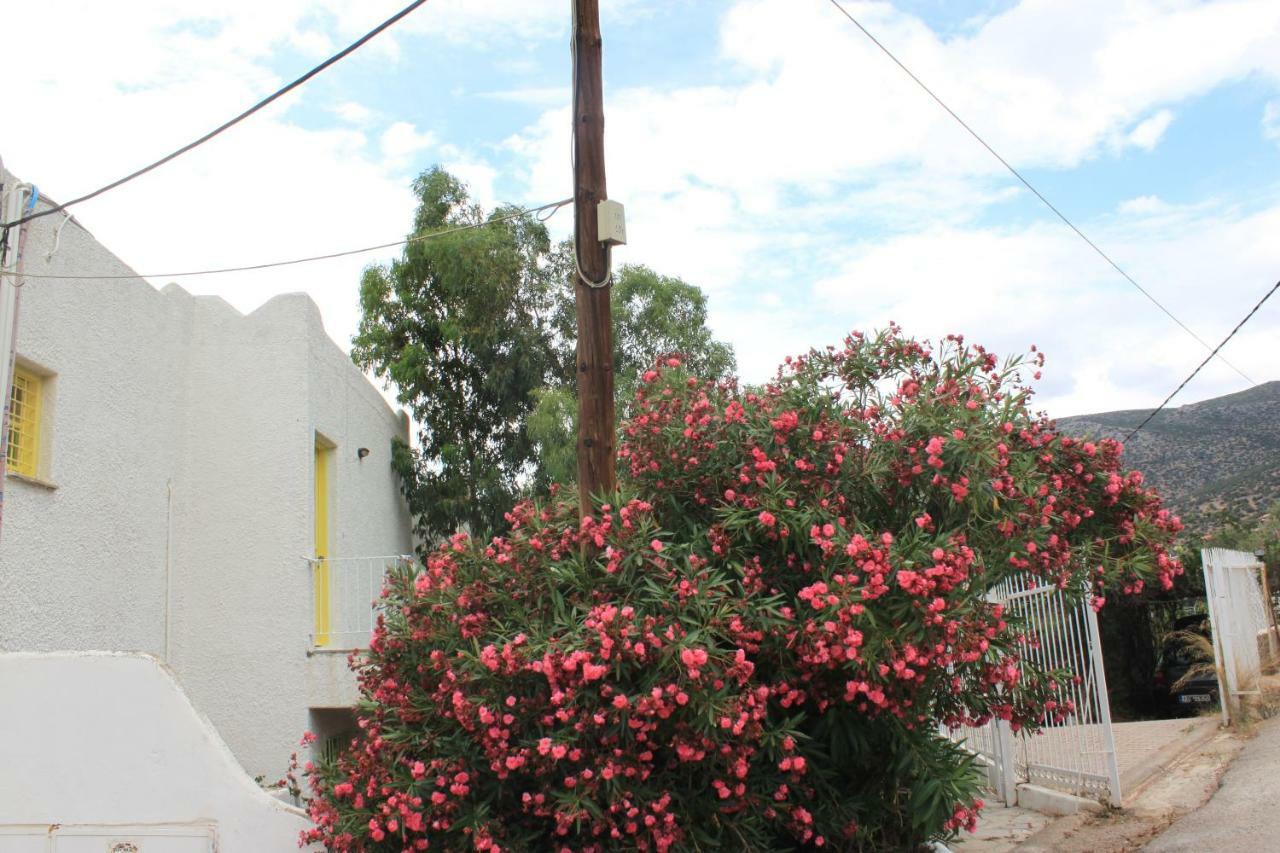 Villla Giallo Country house