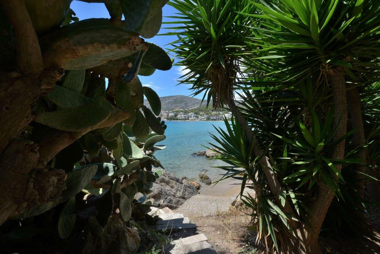 Portomare *