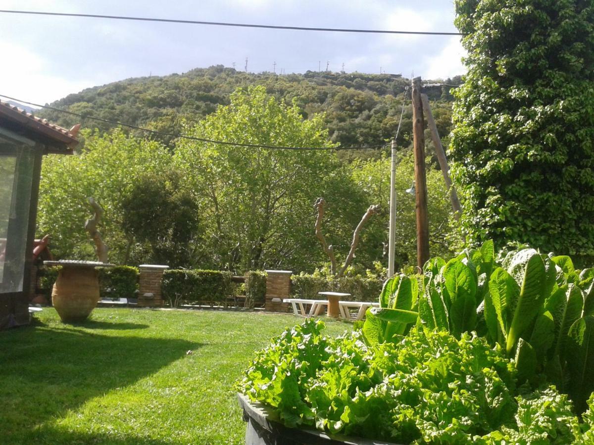Kalogirou Stone House Apartment Limnionas (Central Greece)