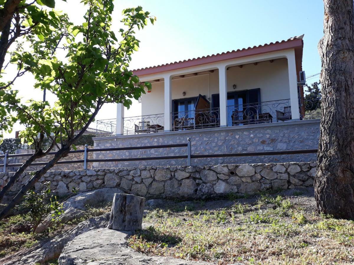 Niriides