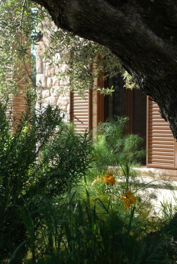 Lioriza Country Holiday home