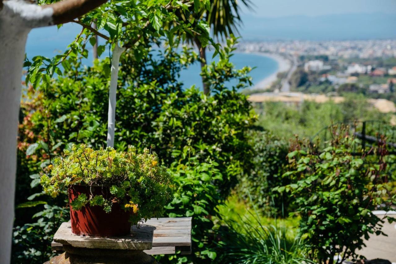 Vasiliki Apartment Kalamata