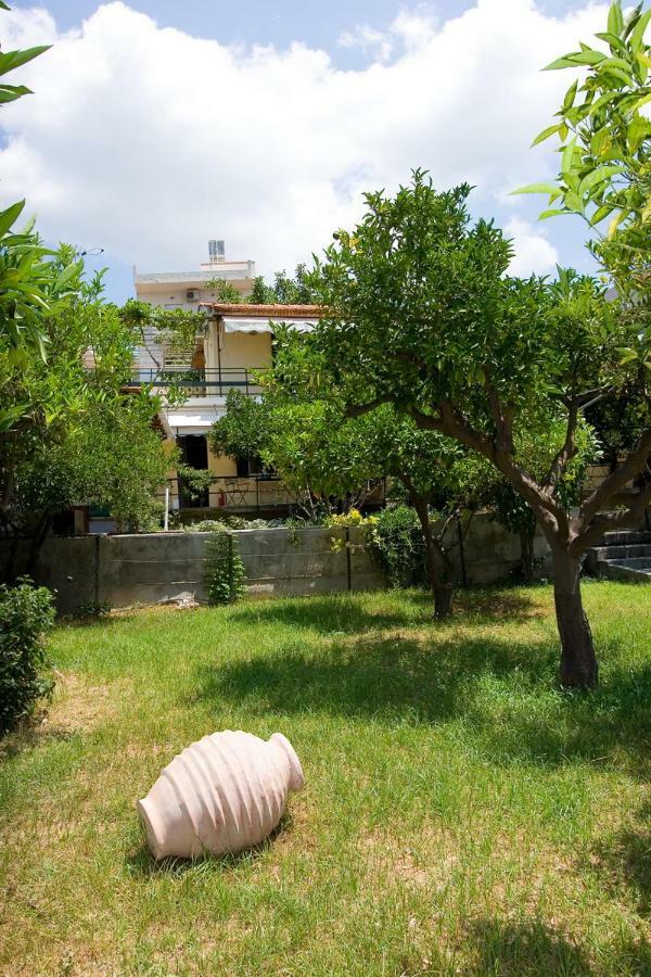 Soile Georgia *