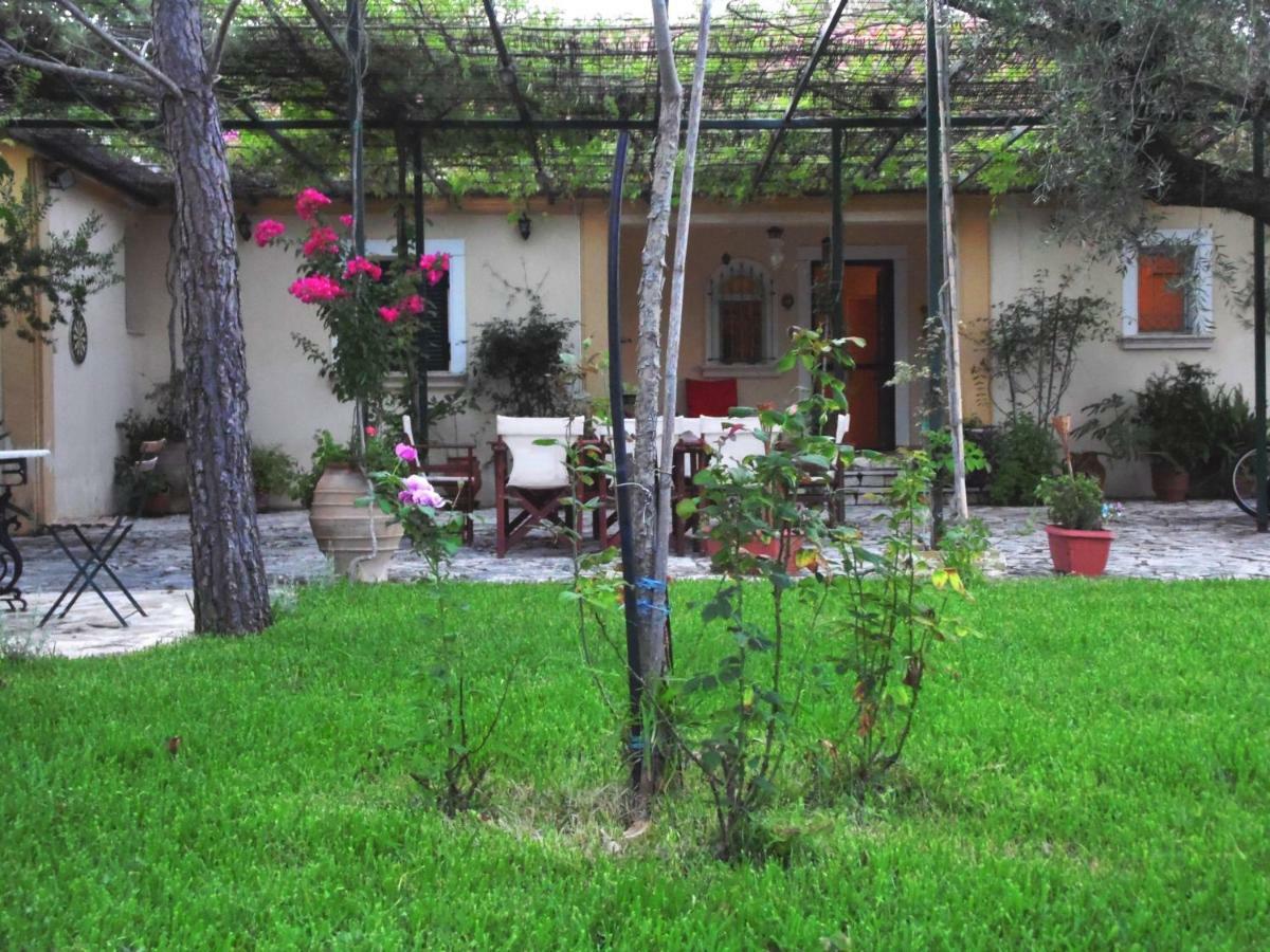 Villa Theni Olive Grove Kato Yerakarion
