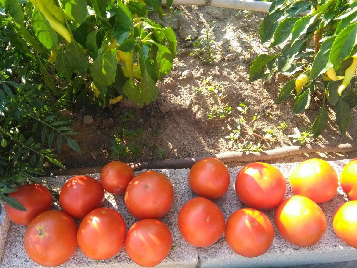 Martha's * Nea Iraklitsa