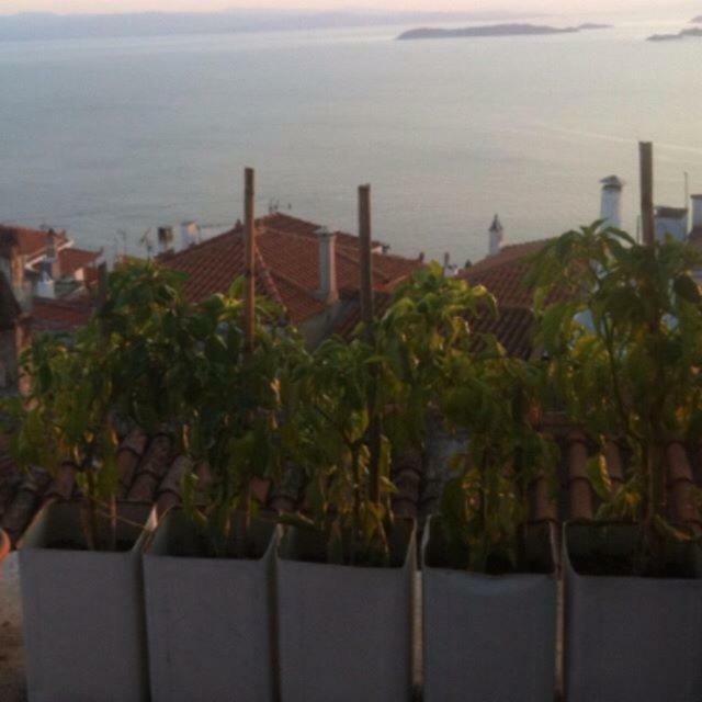Holiday home Persefonis View House