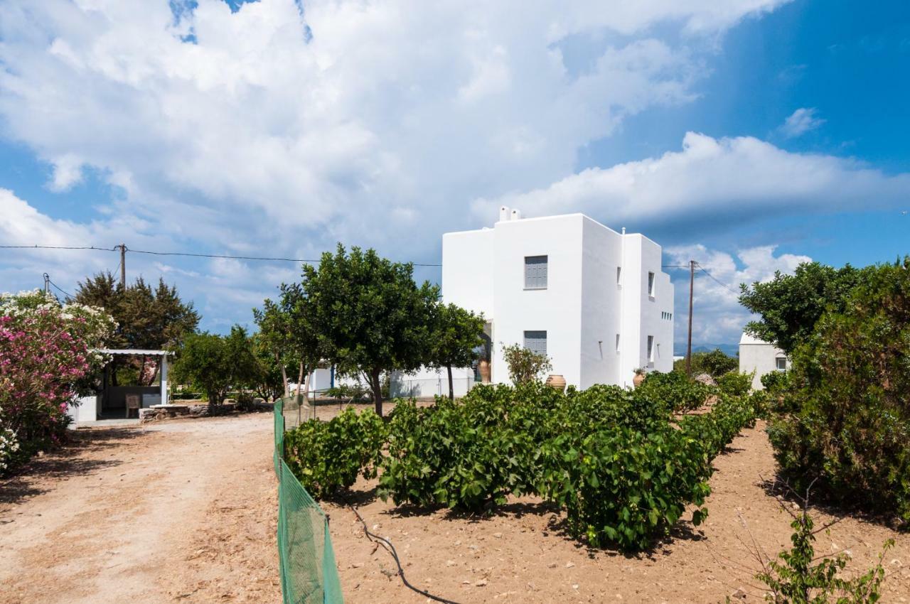 Salty Sea View Naxos Holiday home Kastraki (Naxos)