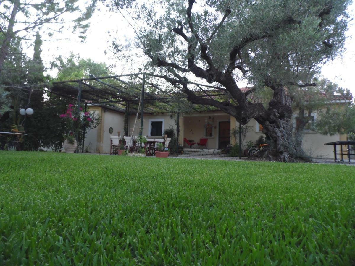 Villa Theni Olive Grove Kato Yerakarion